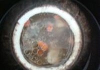 原盅椰子炖乌鸡的做法 步骤7