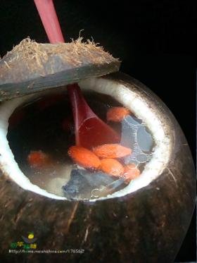 原盅椰子炖乌鸡
