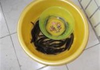 泥鳅淮山汤的做法 步骤2