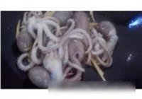 葱香章鱼的做法 步骤8