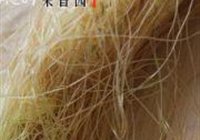 玉米须红糖茶的做法 步骤1