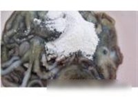 葱香章鱼的做法 步骤4