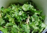 凉拌臭菜根的做法 步骤7