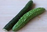 ˫ϵ 1