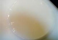 肉丝大拉皮的做法 步骤13