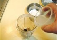 核桃酪的做法 步骤5