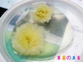 菊花茶冻