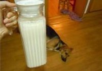 杏仁米浆的做法 步骤18