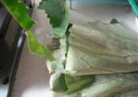 荷叶红薯绿豆沙的做法 步骤3