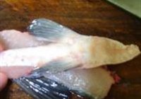 麻辣水煮鱼的做法 步骤5