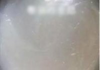 红苕凉粉的做法 步骤2