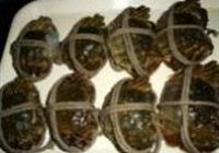 清蒸大闸蟹的做法 步骤1