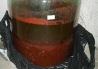 红米酒的做法 步骤10