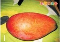 椰汁芒果西米露的做法 步骤1