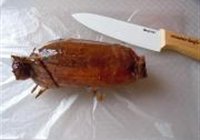 蜜汁桂花糯米藕的做法 步骤25