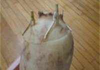 蜜汁桂花糯米藕的做法 步骤15