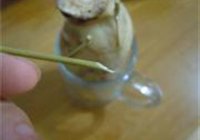 蜜汁桂花糯米藕的做法 步骤14