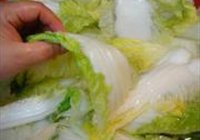 韩国辣白菜的做法 步骤7