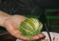 秘制美味白菜腐乳的做法 步骤11