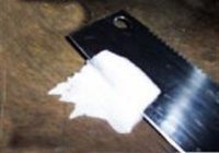 凉拌白菜丝的做法 步骤4