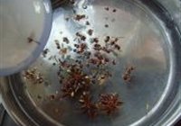 四川泡菜的做法 步骤1