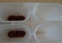 红豆沙雪糕的做法 步骤6