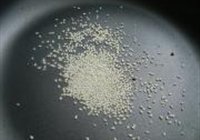 棒棒鸡丝的做法 步骤10