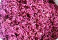 野玫瑰花酱的做法 步骤12