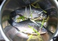 湘江鲫鱼的做法 步骤1