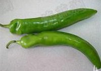 农家小炒肉的做法 步骤4