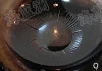 农家小炒肉的做法 步骤9