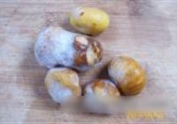 葡萄豆沙八宝饭的做法 步骤14