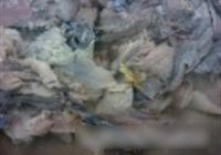白玉菇炒乌鸡片的做法 步骤5