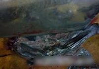 白玉菇炒乌鸡片的做法 步骤3