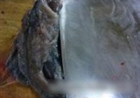 白玉菇炒乌鸡片的做法 步骤2