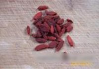 蒜蓉麻油焖茄子的做法 步骤18