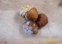 蒜蓉麻油焖茄子的做法 步骤13