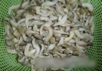 辣炒鸡腿菇的做法 步骤3