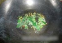 辣炒鸡腿菇的做法 步骤11