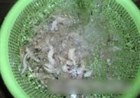 辣炒鸡腿菇的做法 步骤6