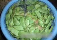 排骨炖油豆的做法 步骤2