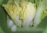 ޲˵ 2