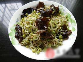 黑木耳炒豆芽