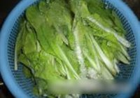 辣炒快菜的做法 步骤1