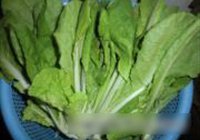 辣炒快菜的做法 步骤2