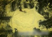 糟肉的做法 步骤3