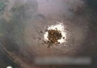 乌龙翅的做法 步骤6
