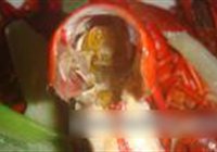 清蒸小龙虾的做法 步骤13