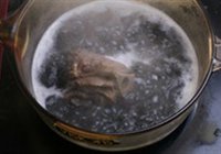 黑豆海带牛尾汤的做法 步骤6