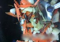 荷塘大炒的做法 步骤6